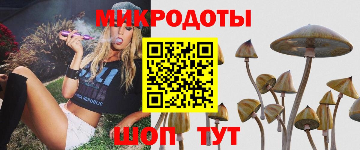 Галлюциногенные грибы GOLDEN TEACHER  Вход с VPN  Серпухов  купить   Галлюциногенные грибы Psilocybine cubensis 